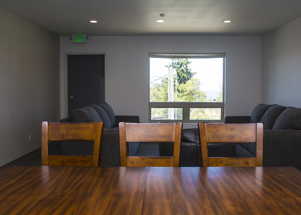 A view of the couches from the kitchen table.