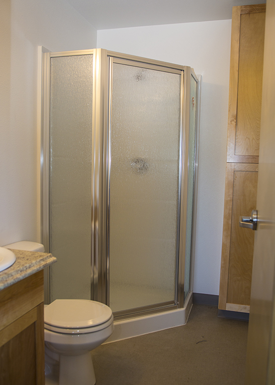 Photo of the bathroom showing toilet, stand-up shower, sink, and cabinets.